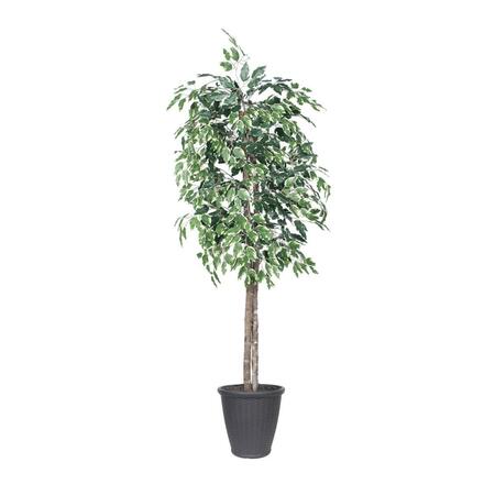 DARE2DECOR 6 ft. Variegated Ficus Tree with Round Grey Basket, Green & White DA3254616